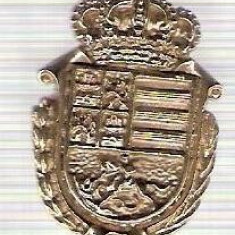 C313 Medalie(placheta) heraldica stema(emblema) zonala Spania -marime cca 31X21mm, gr aprox 6gr. -starea care se vede, mai buna ca scanarea