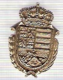 C313 Medalie(placheta) heraldica stema(emblema) zonala Spania -marime cca 31X21mm, gr aprox 6gr. -starea care se vede, mai buna ca scanarea foto