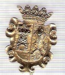 C314 Medalie(placheta) heraldica stema(emblema) zonala Spania -marime cca 30X23mm, gr aprox 6gr. -starea care se vede, mai buna ca scanarea foto
