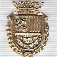 C315 Medalie(placheta) heraldica stema(emblema) zonala Spania -marime cca 29X21mm, gr aprox 6gr. -starea care se vede, mai buna ca scanarea