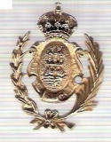 C292 Medalie(placheta) heraldica stema(emblema) zonala Spania -marime cca 31X24mm, gr aprox 4gr. -starea care se vede, mai buna ca scanarea