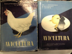 AVICULTURA -2 volume foto