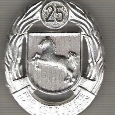 C339 Medalie (insigna)interesanta - Militara -Germania -marime cca 48X40 mm, greutatea aprox 20 gr. -starea care se vede