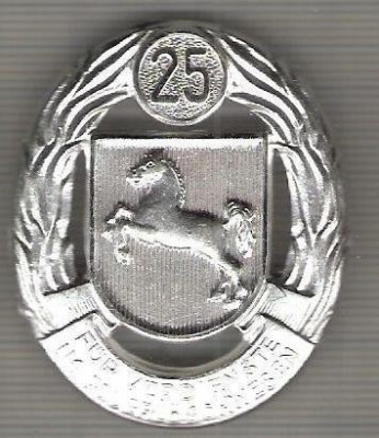 C339 Medalie (insigna)interesanta - Militara -Germania -marime cca 48X40 mm, greutatea aprox 20 gr. -starea care se vede foto