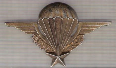 C332 Medalie veche(insigna)Legiunea Straina - Militara - Aviatie-Parasutism -marime cca 77X48mm, greutatea aprox 20gr. -starea care se vede foto