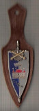 C346 Medalie(insigna)Consiliul International de Sport Militar -C.I.S.M. -marime cca 105X33X(61x22) mm, greutatea aprox 17 gr. -starea care se ved