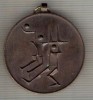 C358 Medalie Handbal -Cupa Internationala Balaton, 1973, Veszprem -Ungaria -marime cca 35X40mm, gr. aprox 27 gr. -starea care se vede