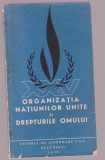 Organizatia Natiunilor Unite si drepturile omului