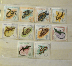 ANIMALE. REPTILE 1964 - serie completa stampilata - 2+1 gratis toate licitatiile - RBK1502 foto