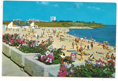 carte postala(ilustrata)-MANGALIA NORD-venus foto