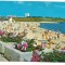 carte postala(ilustrata)-MANGALIA NORD-venus