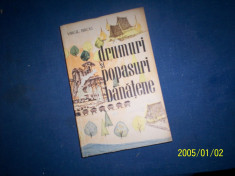 DRUMURI SI POPASURI BANATENE - VIRGIL BIROU foto