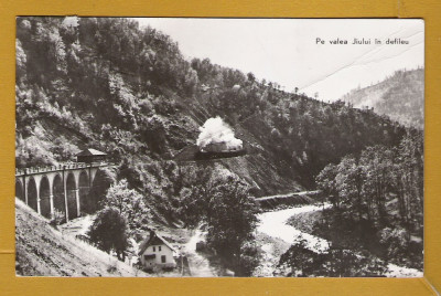 TREN PE VALEA JIULUI 1963 foto