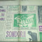 magazin 3 februarie 1973-articol tara zaradului,corina chiriac,adrian paunescu