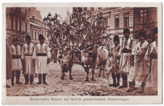 332 - New Year&amp;#039;s traditions, the cart with oxen - old postcard - used foto