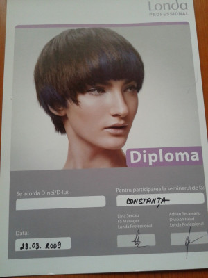 LONDA PROFESSIONAL - Diploma seminar cu nume necompletat + Manual de Utilizare foto