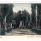 B71945 orsova 1905 Korona Kapolna 2 scans
