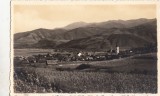 B72118 Sibiu Foto Fischer Foto Real Zona Sibiu 2 scans