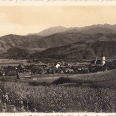 B72118 Sibiu Foto Fischer Foto Real Zona Sibiu 2 scans