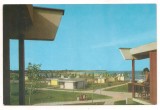 carte postala(ilustrata)-COSTINESTI