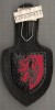 C389 Medalie militara -Stabskompanie Panzergrenadierdiv Kassel -Germania -marime cca 87X42(29X34) mm, gr. aprox 16 gr. -starea care se vede