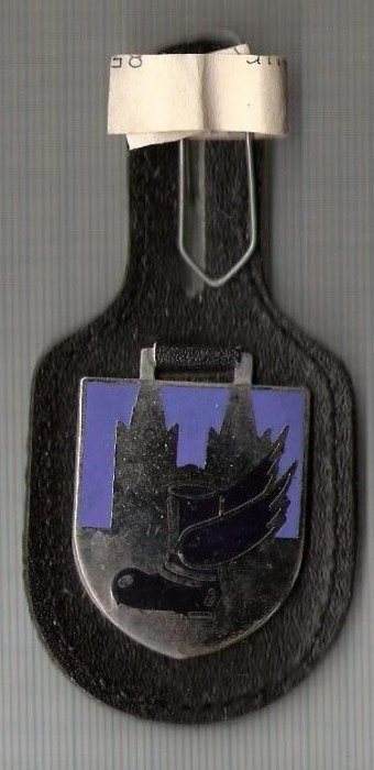 C396 Medalie militara -Heeresfliegerstaffel ...-Germania -marime cca 87X40(30X40) mm, gr. aprox 18 gr. -starea care se vede