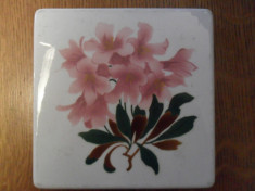 Placa ceramica Meissen veche foto