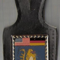 C408 Medalie militara -heraldica , un leu pe varful unui munte, nins-Germania, SUA -marime cca 96X44(30X35) mm, gr. aprox 20 gr. -starea care se vede