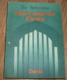 Ilie Salceanu - Umbra slugerului Theodor, 1988
