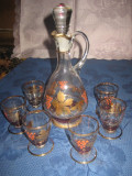 Frumos Set pentru tarie rustic din sticla, sticla cu 6 pahare model vita de vie