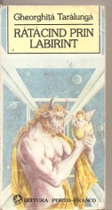 (C2626) RATACIND PRIN LABIRINT DE GHEORGHITA TARALUNGA, EDITURA PORTO - FRANCO, GALATI, 1993, CUGETARI SI AFORISME