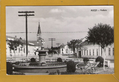 ALESD BIHOR 1963 foto