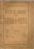 D. A. Gheorghiu-Crisanu - Regim de anarhie de ruina si robie - 1925