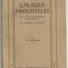 M.Csaki / CALAUZA PINACOTECEI MUZEULUI BRUKENTHAL DIN SIBIU - editie 1921,cu ilustratii