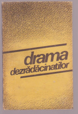 Drama dezradacinatilor foto