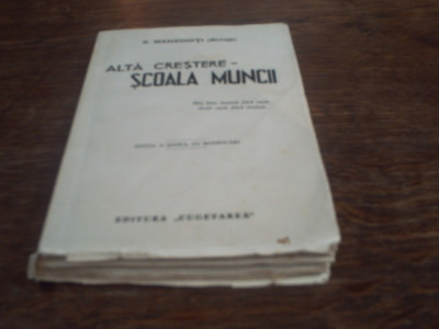 S Mehedinti (Soveja) - Alta Crestere - Scoala Muncii foto