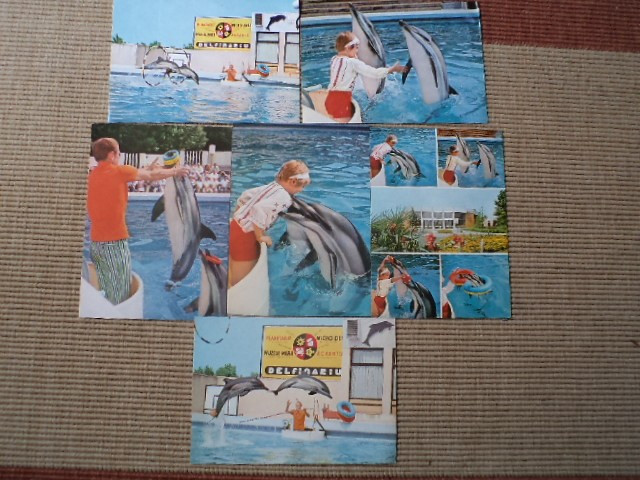 delfinariu constanta lot colectie 6 vederi carti postale necirculate RSR hobby