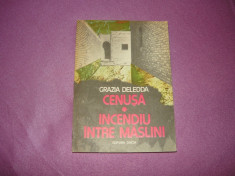 Grazia Deledda - Cenusa. Incendiu intre maslini - 2+1 gratis toate licitatiile - RBK591 foto