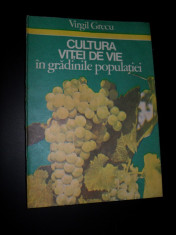 Virgil Grecu-Cultura vitei de vie in gradinile populatiei foto