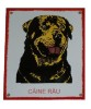 Placuta Avertizare Caine Rau Rottweiler, Tabla Emailata 20x15 cm, Decorativa Porti, Rezistenta Intemperii
