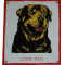 PLACA CAINE RAU ROTTWEILER