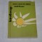 Interferente - Studii literare - Bucuresti - 1975