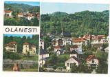 Carte postala(ilustrata)-OLANESTI -colaj, Circulata, Printata