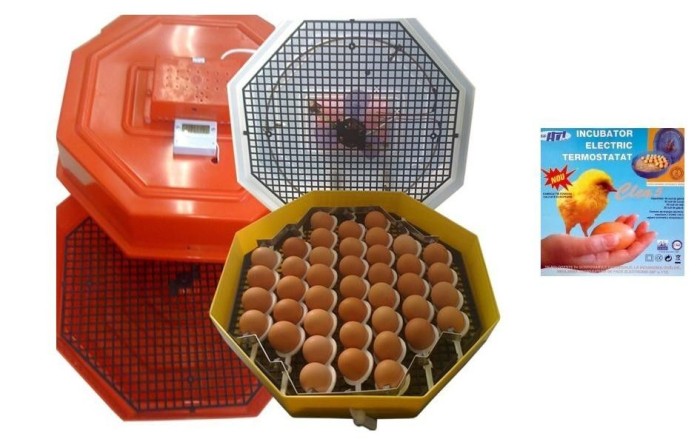 Incubator electric clocitoare 60 oua cleo 5, intoarcere, termostat foto mare Incubator electric clocitoare 60 oua cleo 5, intoarcere, termostat foto mare