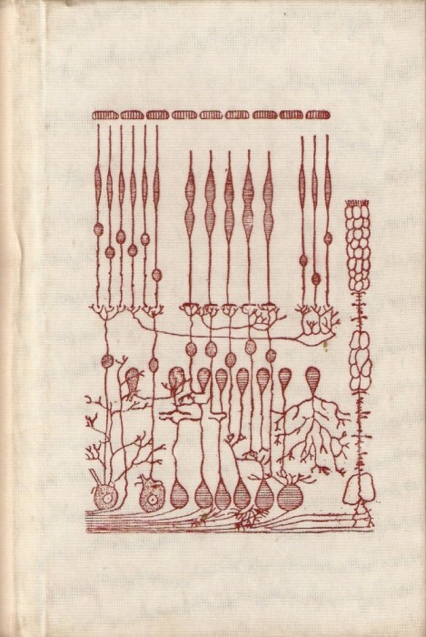 Orizonturi noi psihologice-Brian M.Foss