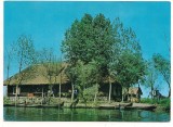 Carte postala(ilustrata)-DELTA DUNARII-cherhana, Circulata, Printata