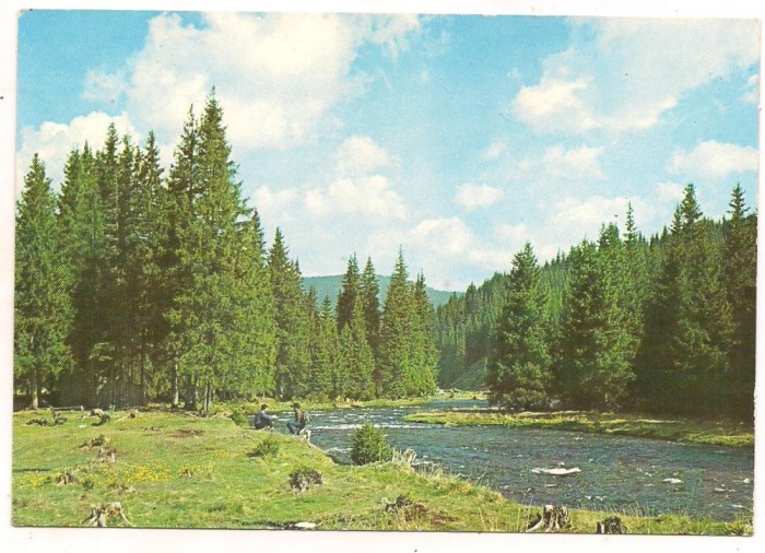carte postala(ilustrata)-ALBA -Valea Frumoasei
