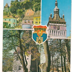 carte postala(ilustrata)-SIGHISOARA-colaj