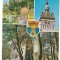 carte postala(ilustrata)-SIGHISOARA-colaj