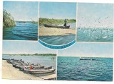carte postala(ilustrata)-DELTA DUNARII-colaj